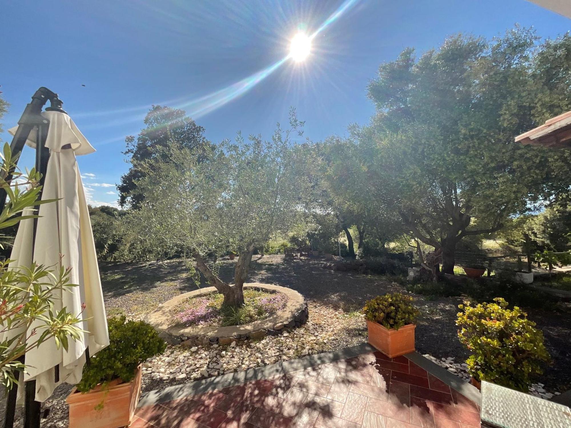 Hostal Residenza Di Campagna Dolmen Motorra Dorgali Exterior foto