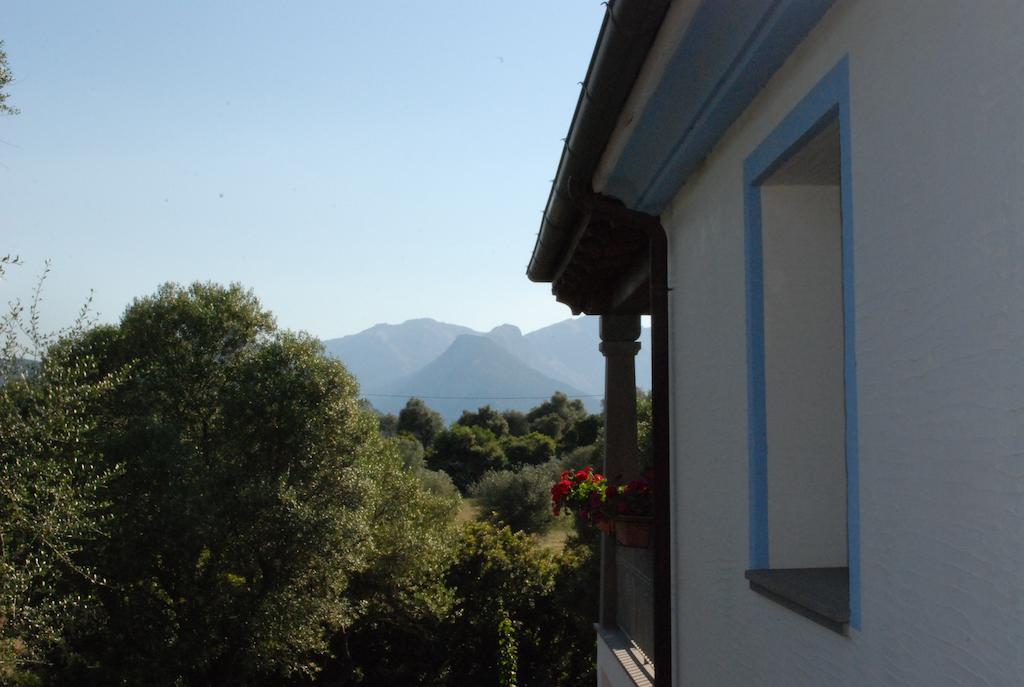 Hostal Residenza Di Campagna Dolmen Motorra Dorgali Exterior foto
